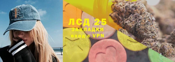 прущие грибы Костерёво