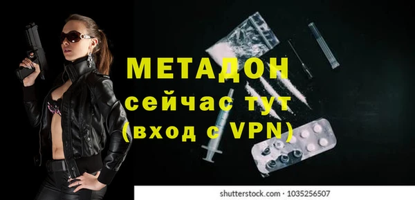 индика Козельск