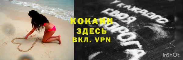 индика Козельск