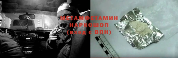 индика Козельск