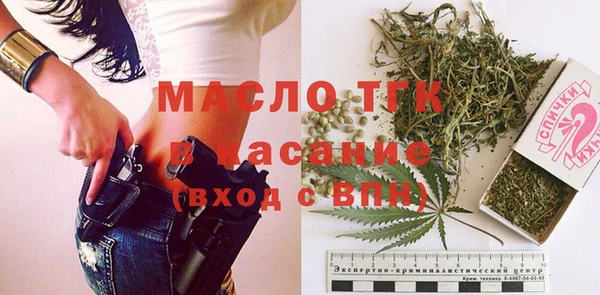 индика Козельск