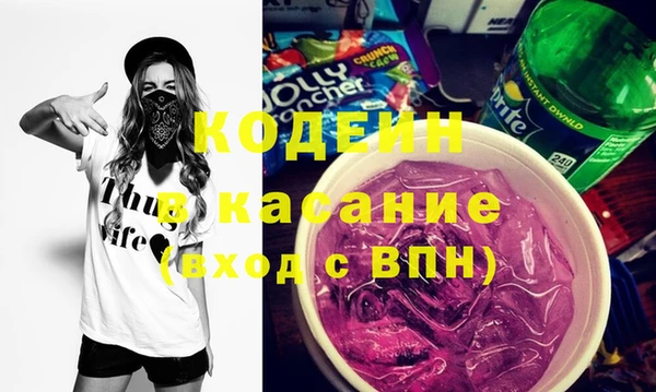 индика Козельск