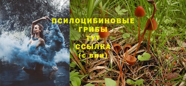 альфа пвп Коряжма