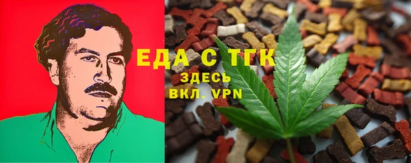 индика Козельск