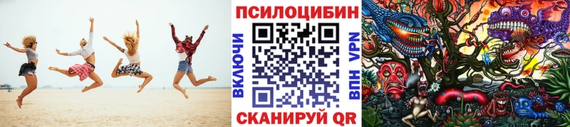 Купить где  Искитим  Галлюциногенные грибы GOLDEN TEACHER 